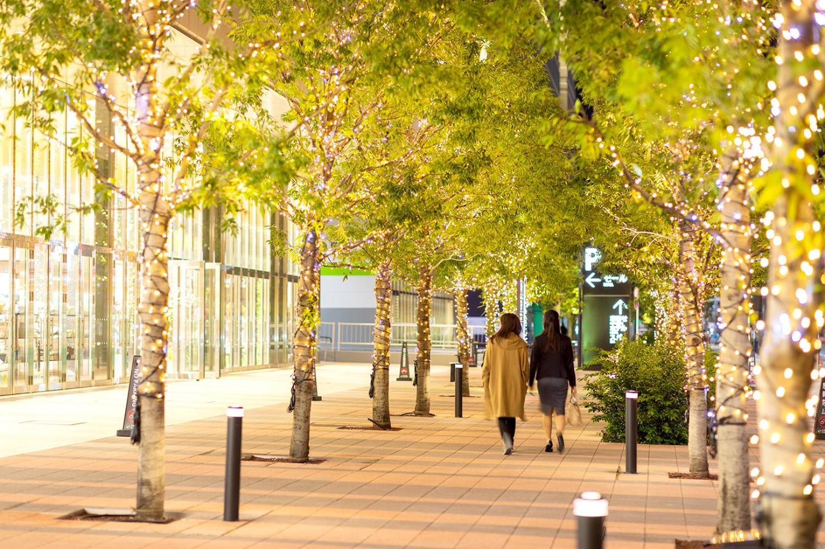Villa Fontaine Grand Tokyo Ariake Eksteriør bilde
